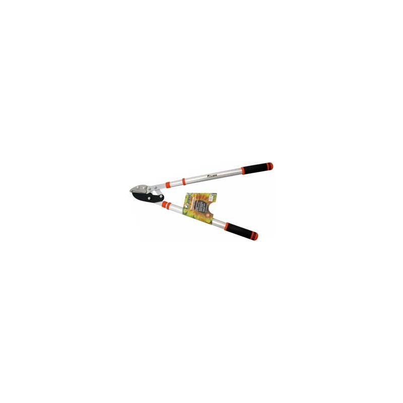 TAGLIARAMI TELESCOPICO DEMOLTIPLICATO LIONS 452T