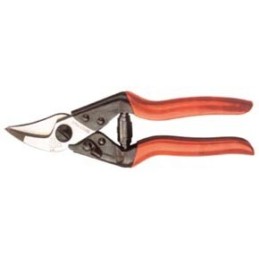 CESOIE FELCO C/P