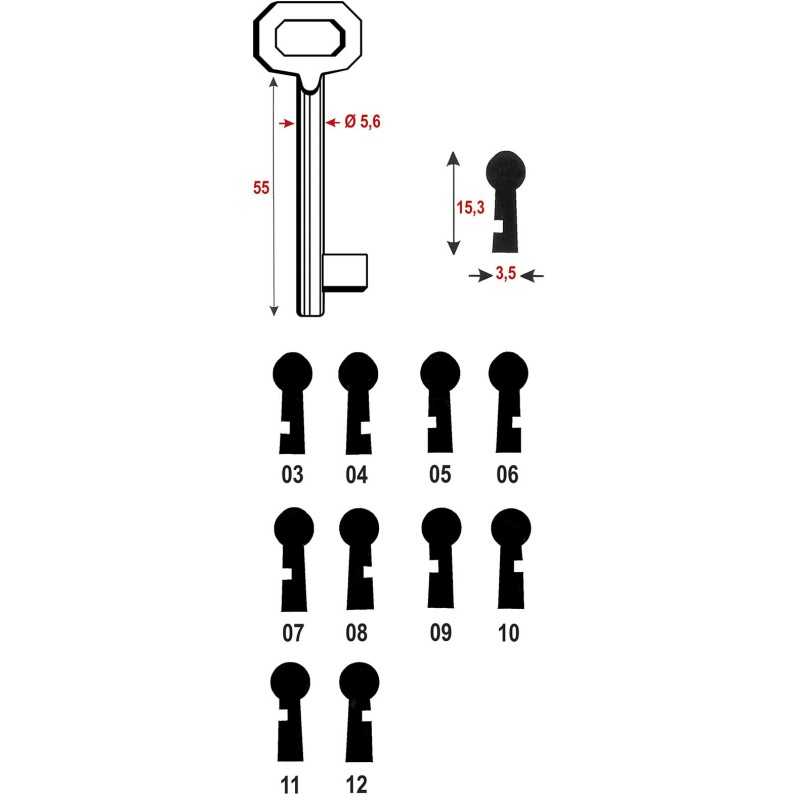 CHIAVI BONAITI PER SERRATURE PATENT ART.42