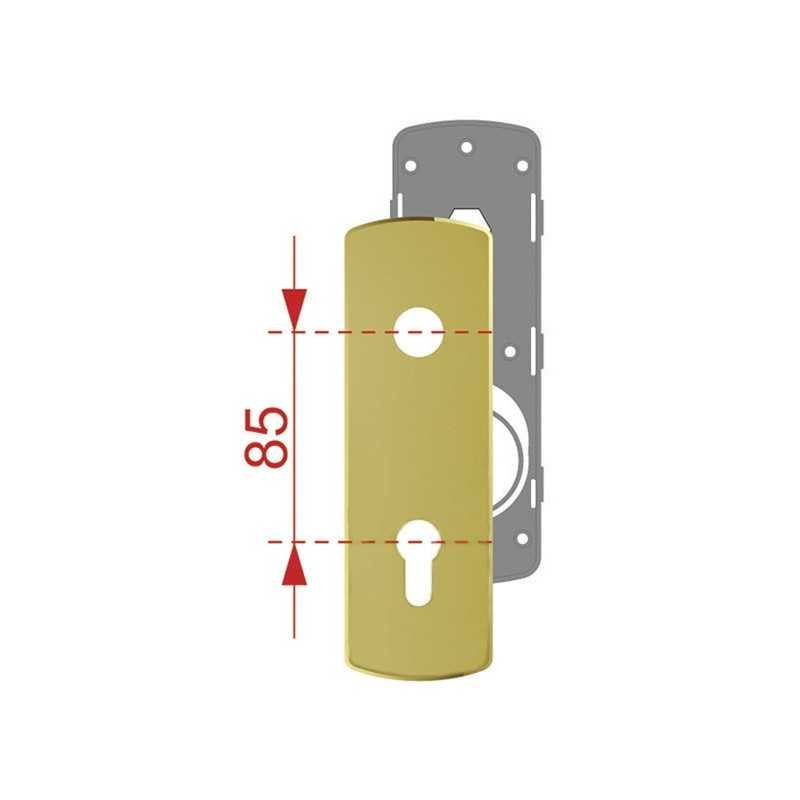 PLACCA DISEC KI1903P X MANIGLIA-CILINDRO SAGOMATO