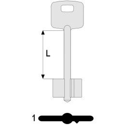 CHIAVI CISA DOPPIA MAPPA 00100/1