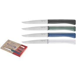 COLTELLI OPINEL BON APPETIT PLUS SET STORM PZ.4