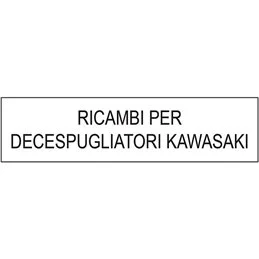 COPPA APPOGGIO X KAWASAKI FORO?10,2