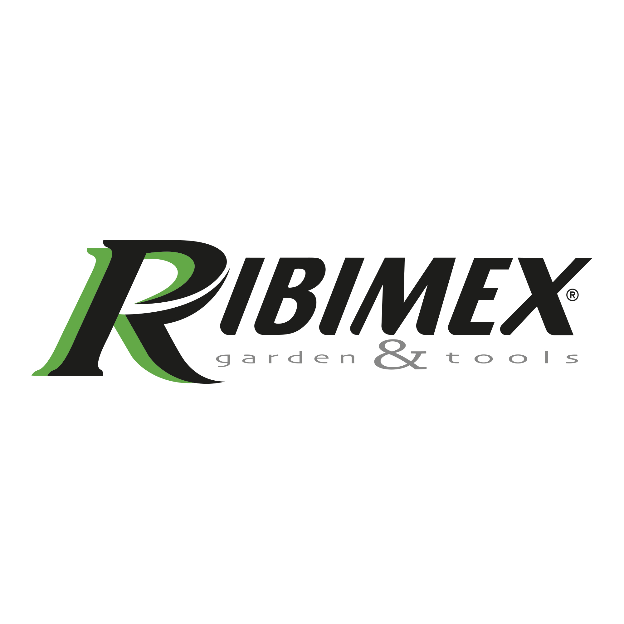 RIBIMEX